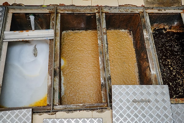 neglecting grease trap maintenance can lead to the release of harmful pollutants into the environment, causing damage to ecosystems and wildlife